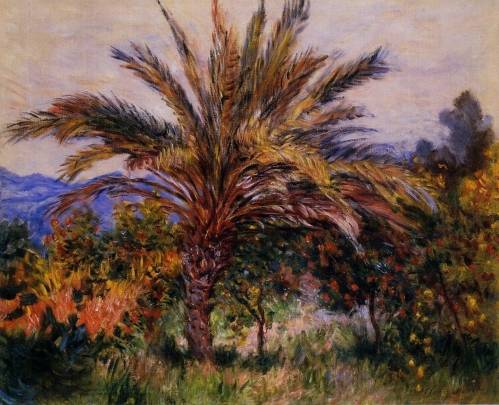 Claude Monet - A Palm Tree at Bordighera