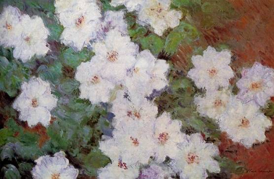 Claude Monet - Clamatis