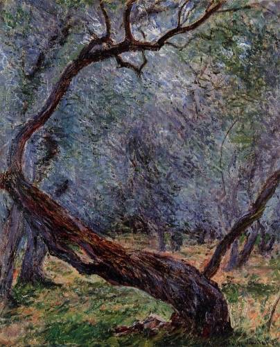 Claude Monet - Study of Olive Trees