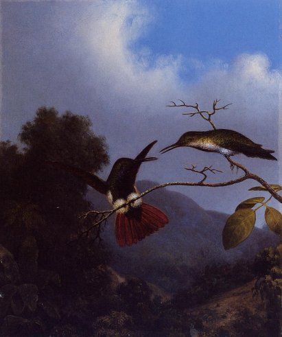 Martin Johnson Heade - Black-Throated Mango