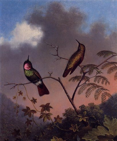 Martin Johnson Heade - Brazilian Ruby Hummingbirds