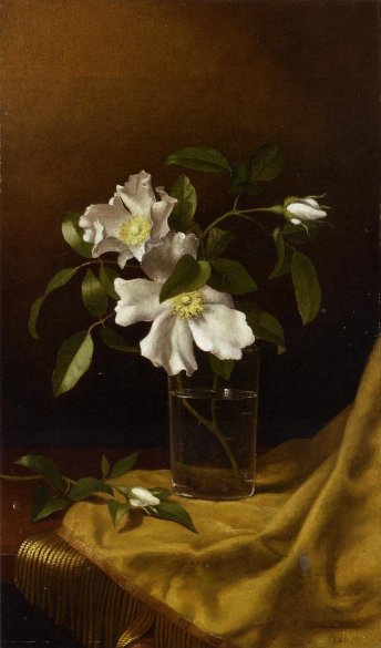 Martin Johnson Heade - Cherokee Roses in a Glass on Gold Velvet Plush