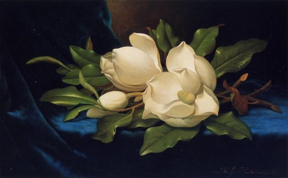 Martin Johnson Heade - Giant Magnolias on a Blue Velvet Cloth