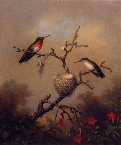 Martin Johnson Heade - Ruby-Throated Hummingbird