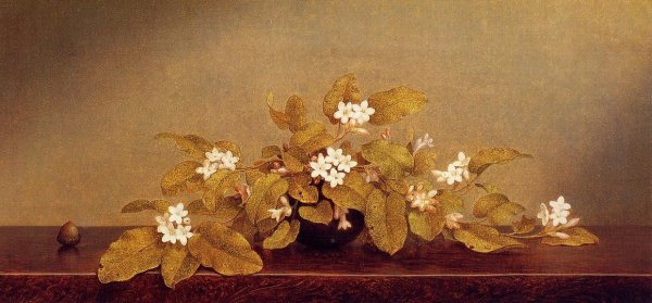 Martin Johnson Heade - Trailing Arbutis