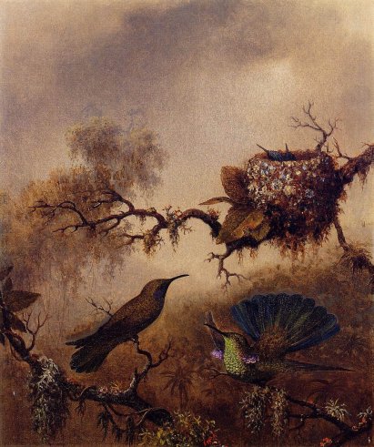 Martin Johnson Heade - White-Vented Violet-Eared