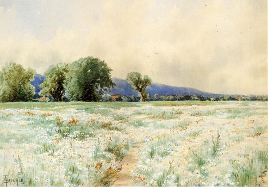 Alfred Thompson Bricher - The Daisy Field