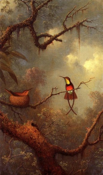 Martin Johnson Heade - Hummingbirds