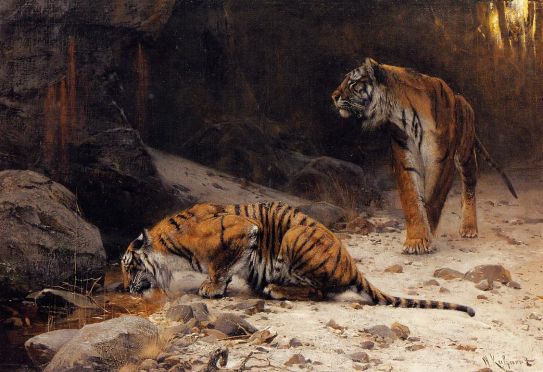 Wilhelm Kuhnert - Tigers at a Drinking Pool