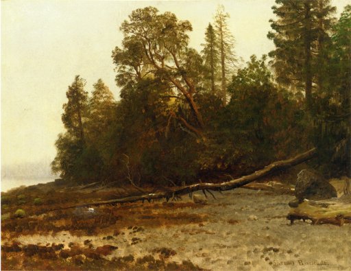 Albert Bierstadt - The Fallen Tree