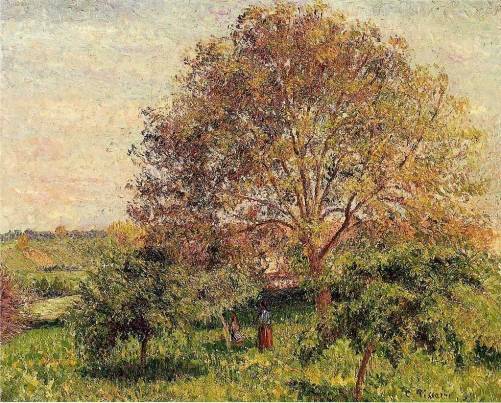 Camille Pissarro - Walnut Tree in Spring