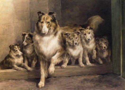 Edmund Henry Osthaus - A Collie And Her Puppies