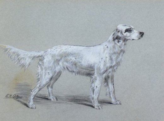 Edmund Henry Osthaus - A Setter