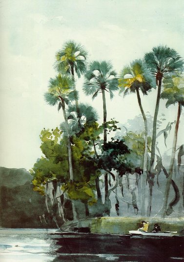 Homer Winslow - Homosassa River