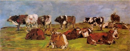 Cows in a Field 1