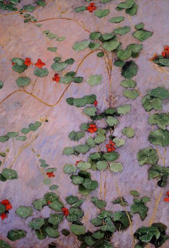 Nasturtiums 2