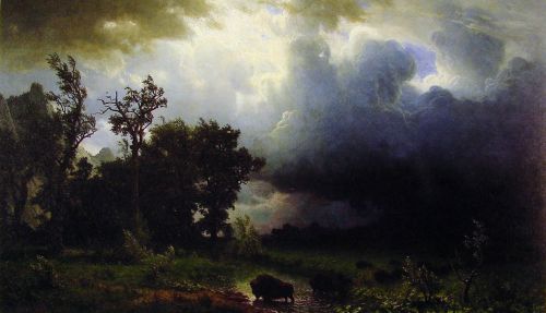 Buffalo Trail (The Impending Storm)