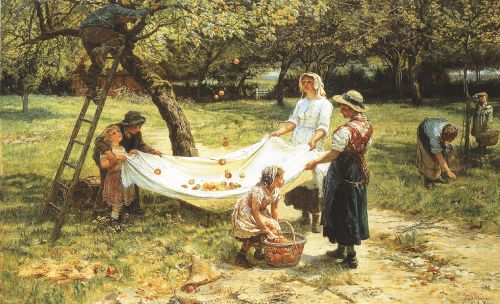 An Apple-gathering