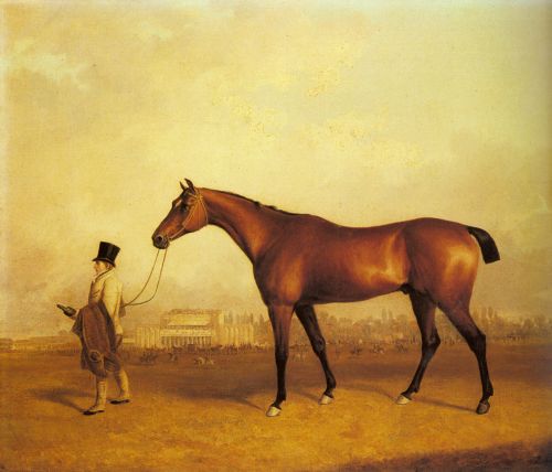 Emlius, Winter of the Derby, held by a Groom at Doncaster