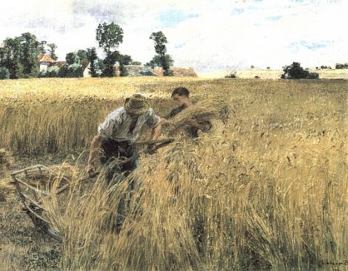 The Harvest at Ru Chailly