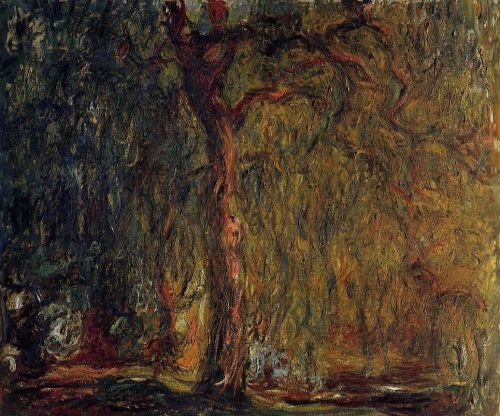 Weeping Willow 2