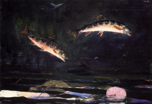 Leaping Trout 2