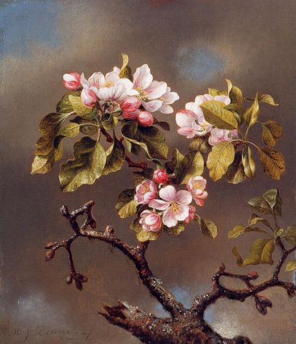 Branch of Apple Blossoms against a Cloudy Sky