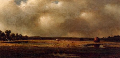 Storm over the Marsh