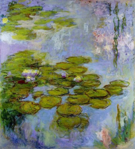 Water-Lilies 41