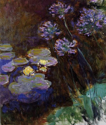 Water-Lilies and Agapanthus