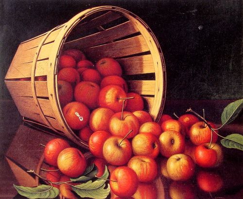 Apples tumbling from a basket