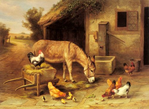 A Donkey and Chickens Outside a Stable