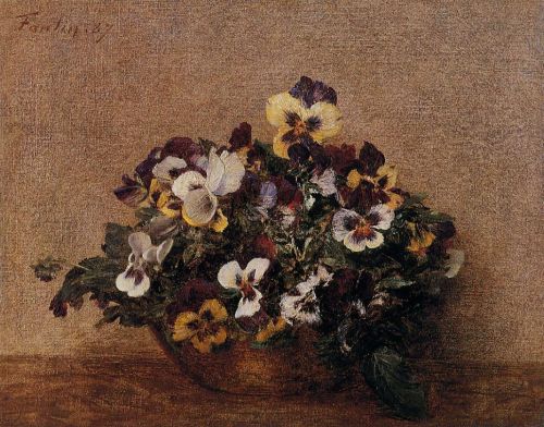 Pansies 2