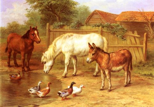Ponies, Donkey and Ducks in a Farmyard