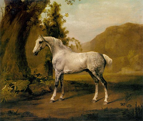 A Grey Stallion In a Landscape, c.1765