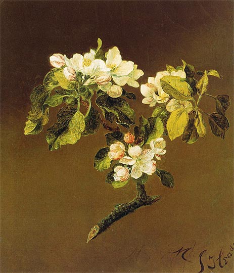 A Spray of Apple Blossoms, 1870