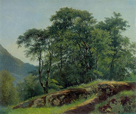 Beach Forest in Switzerland, 1863