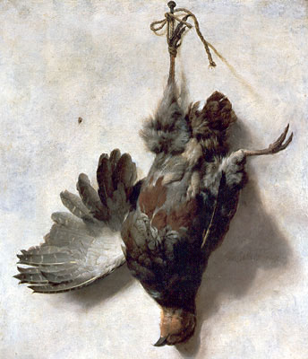 Dead Partridge, undated