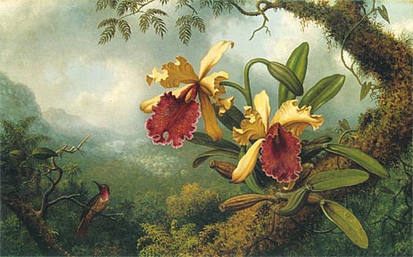 Orchids and Hummingbird, c.1875/83