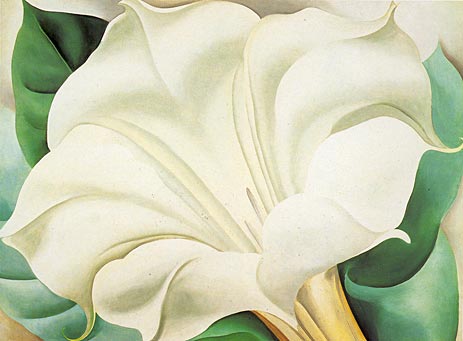 White Trumpet Flower, 1932