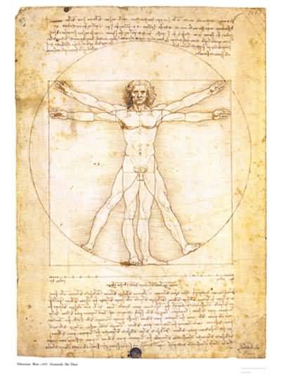 Leonardo da Vinci The Proportions of the Human Figure Vitruvian Man Oil Painting