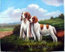 Gorgeous spaniels