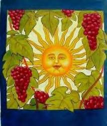 Sun and grapes