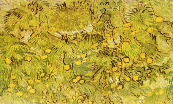 Field of Yellow Flowers, A, Arles: April, 1889