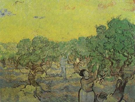 Olive Grove with Picking Figures,Saint R