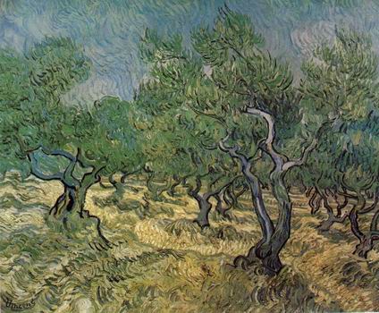 Olive Grove,Saint R