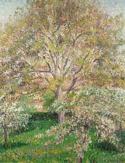 The Walnut and Apple Trees in Bloom at Eragny,1895
