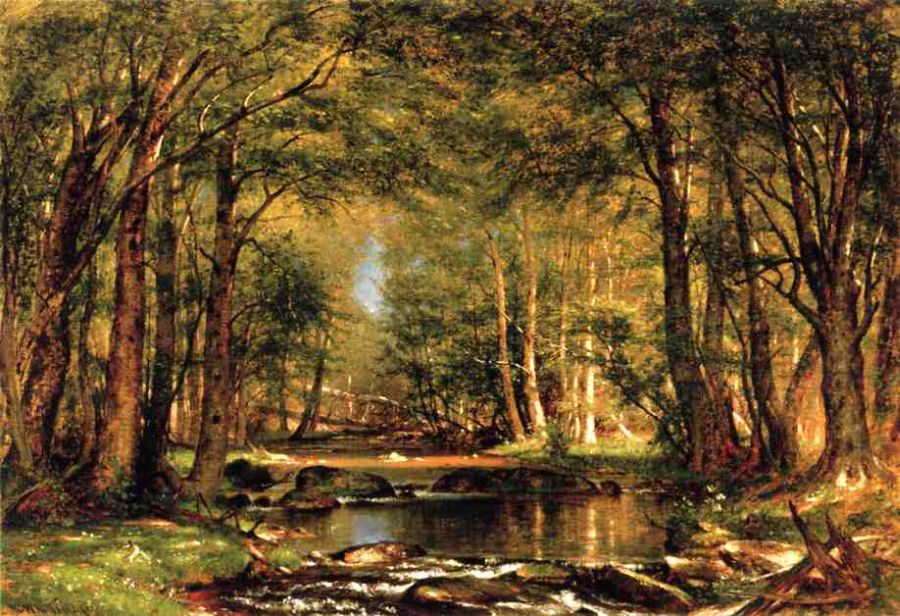A Catskill Brook