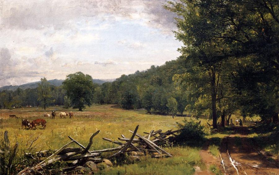 The Meadow