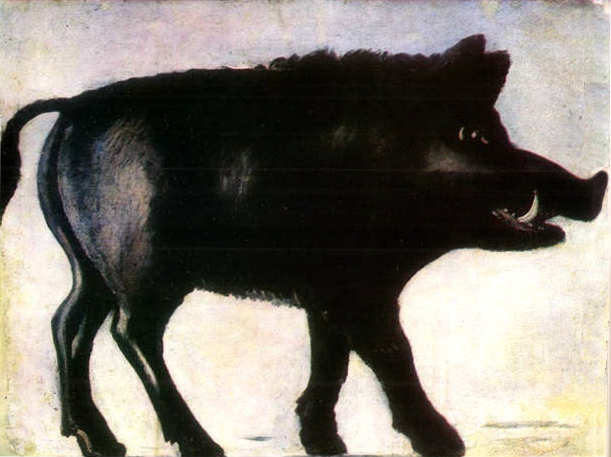 A Wild Boar